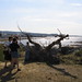 Julie Desrosiers Photo 36