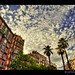 Ernest Rivera Photo 37