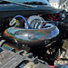 Kyle Cummins Photo 35