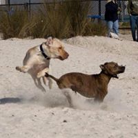 Stephanie Anglin Photo 4