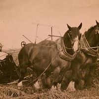 Dwight Gray Photo 5