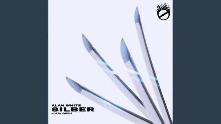 Alan Silber Photo 10