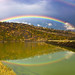 Larry Rowland Photo 42