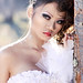Vang Lor Photo 32