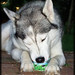 Jerry Chien Photo 24