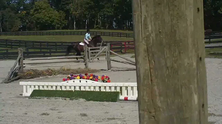 Holly Bossert Photo 7