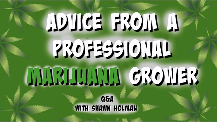 Shawn Holman Photo 32
