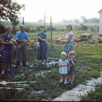 Nancy Fitzgerald Photo 12