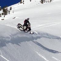 Scott Cryer Photo 5