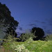Robin Standish Photo 16