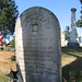 Chester Brown Photo 45