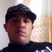 Harry Pinto Photo 3