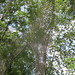 Art Erickson Photo 26
