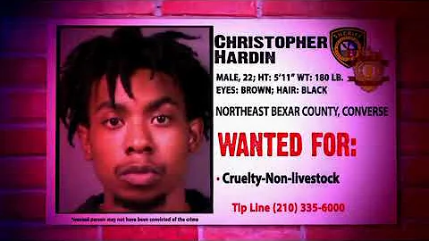 Christopher Hardin Photo 36