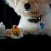Bruce Tanner Photo 39