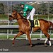 Paul Atkinson Photo 45