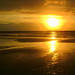 Paula Strand Photo 16