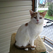 Charlie Krause Photo 27