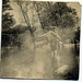 Bill Creek Photo 19