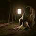 Leah Powell Photo 37