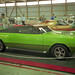 George Juliano Photo 23