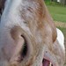 Carl Goins Photo 29