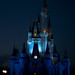 Orlando Moya Photo 29