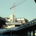 Warren Hayward Photo 21