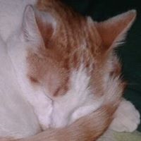Cindy Ridgeway Photo 8