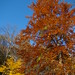 Glen Lockwood Photo 21