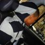 Carlos Paulino Photo 28