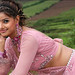 Madhu Sharma Photo 37