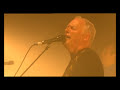 David Wishnew Photo 11