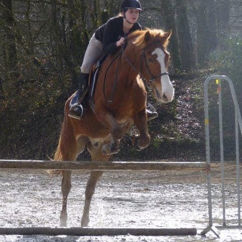 Alison Lucas Photo 9