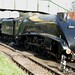 Linda Southall Photo 23
