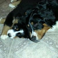 Judy Welch Photo 7