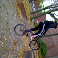 Josh Handley Photo 3