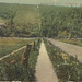 Carolyn Sparrow Photo 14