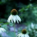 Kimberley Bloom Photo 15