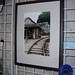Patricia Lammers Photo 30