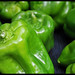 Aaron Peppers Photo 19
