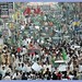 Ahsan Qureshi Photo 32