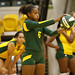 Joseph Echols Photo 32