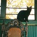 Bobbie White Photo 41