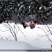 Daryl Winter Photo 21