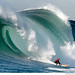 Anthony Gerhardt Photo 18