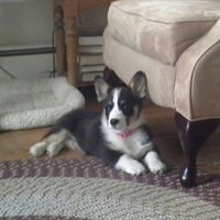 Carolyn Delong Photo 6