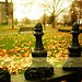 Brad Gates Photo 43