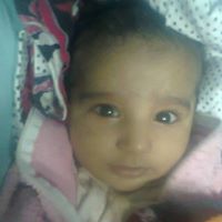 Pranav Sheth Photo 4