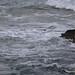 Richard Comer Photo 39